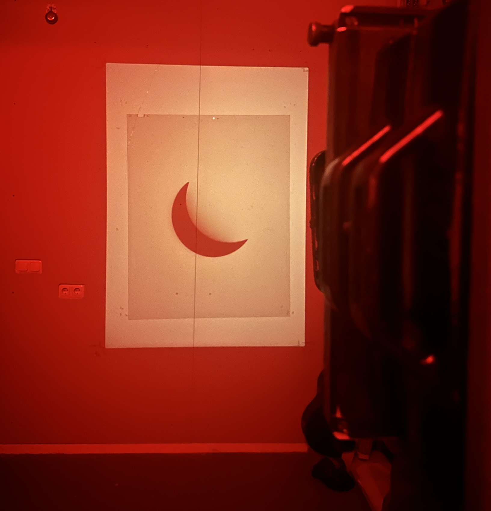 IMG_3384_cropped_rotated_websize